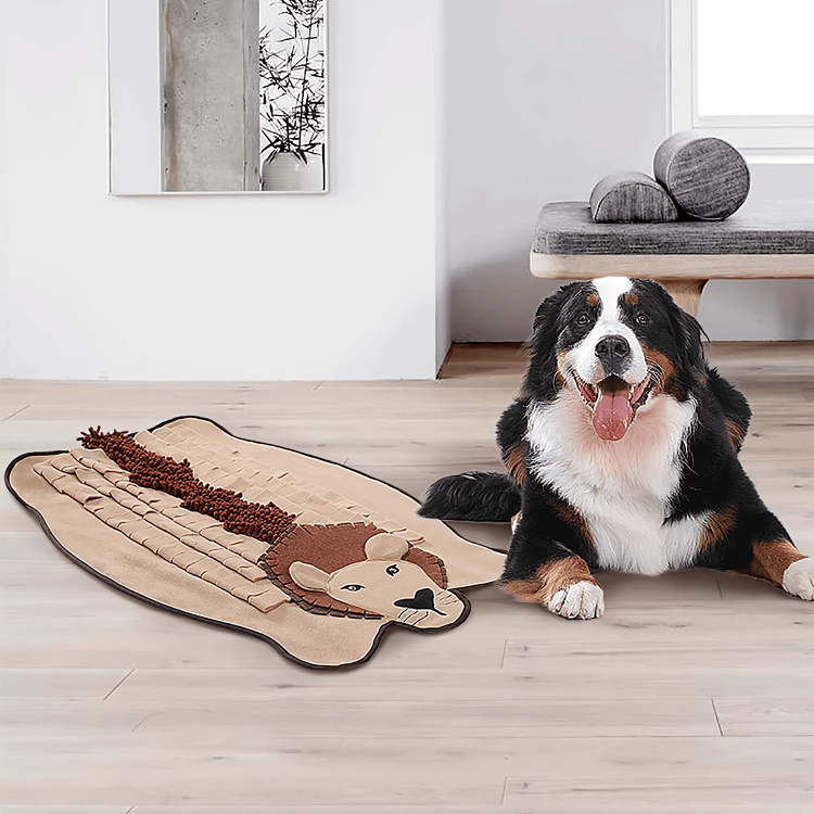 Interactive Pet Training Pad