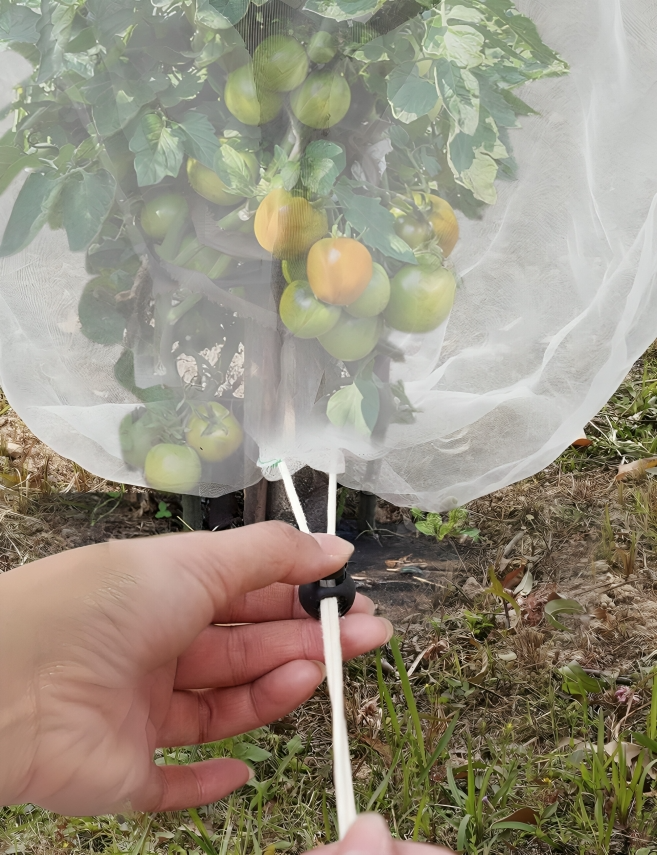 Fruit & Veg Insect Net