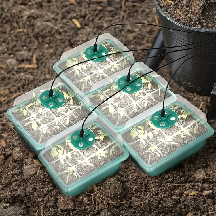 Seedling Starter Grow Box