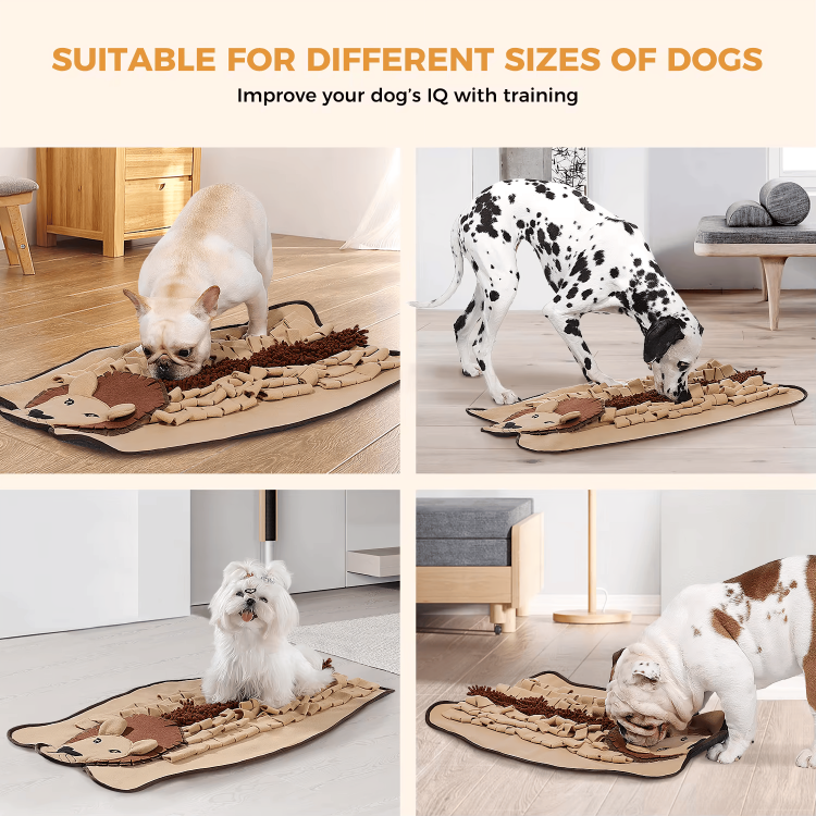 Interactive Pet Training Pad