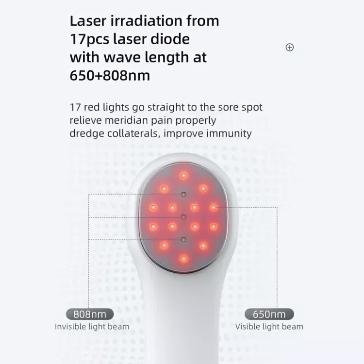 Pet Relief Laser Therapy Device