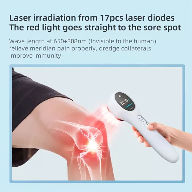 Pet Relief Laser Therapy Device