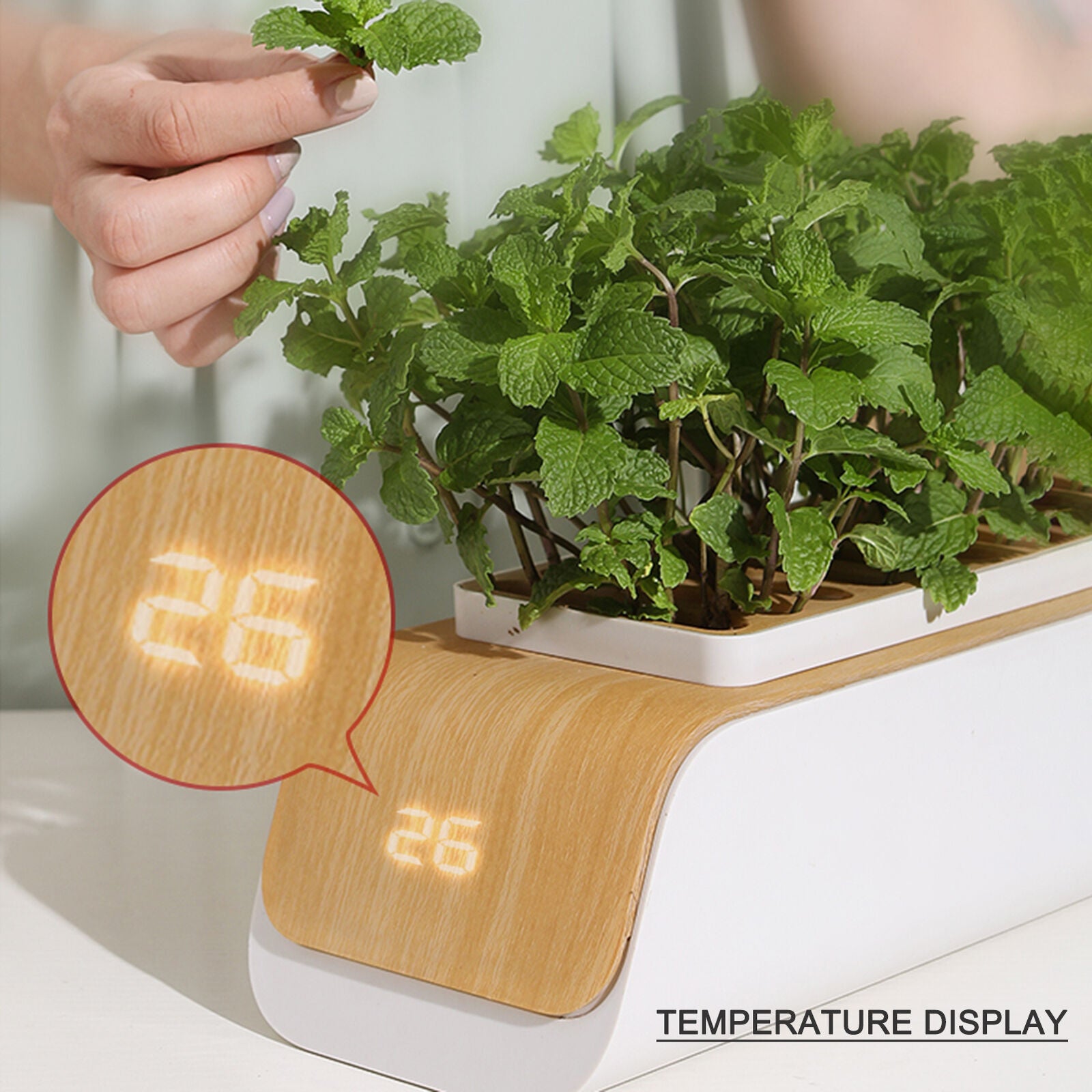 SmartSprout - Indoor Garden