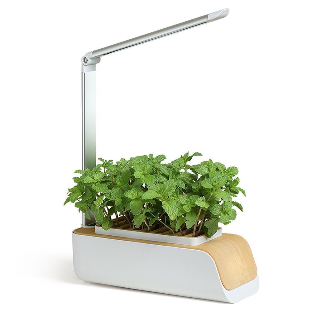 SmartSprout - Indoor Garden